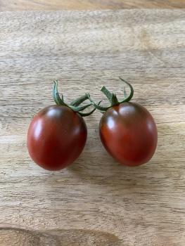 Preview: Schwarzer Maure